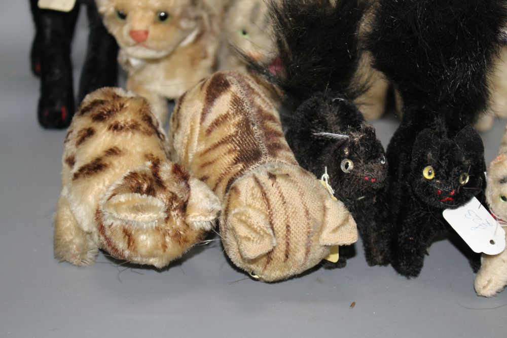 A collection of assorted soft toy cats